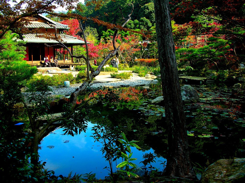 japanese garden pictures | japan garden flowers photo