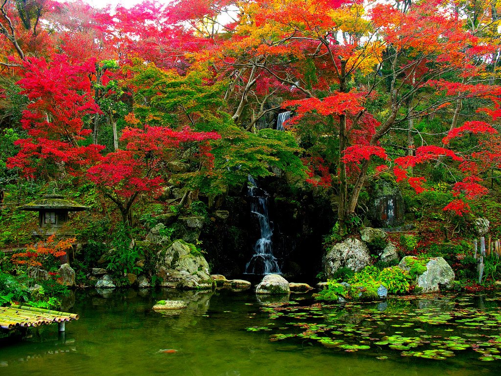 japanese garden pictures | japan garden flowers photo