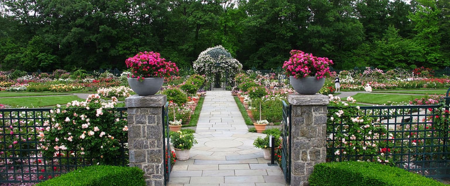 secrets of the new york botanical garden: 125 years of beauty and