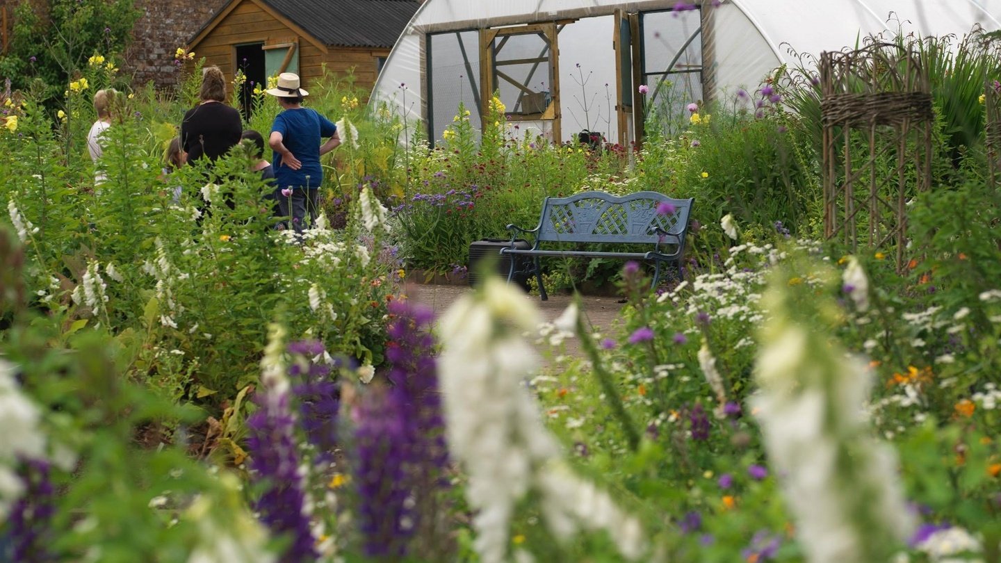 no garden of your own? join a community and get growing