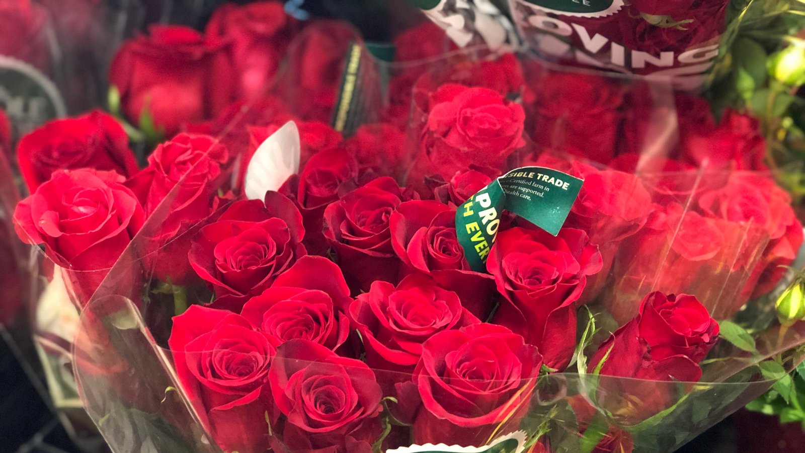 whole foods roses: low prices valentine's day