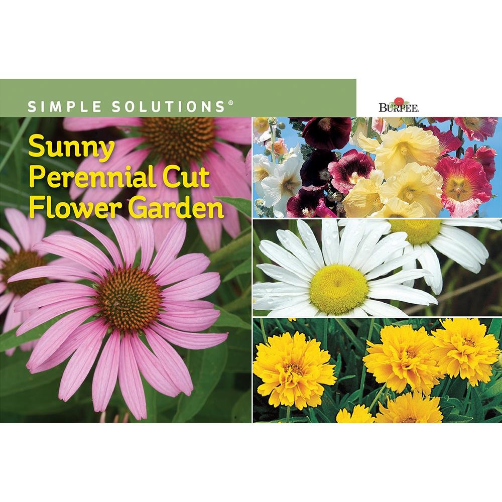 burpee sunny perennial cut flower garden