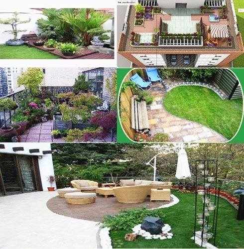 services - terrace garden designing from punjab india by pest control