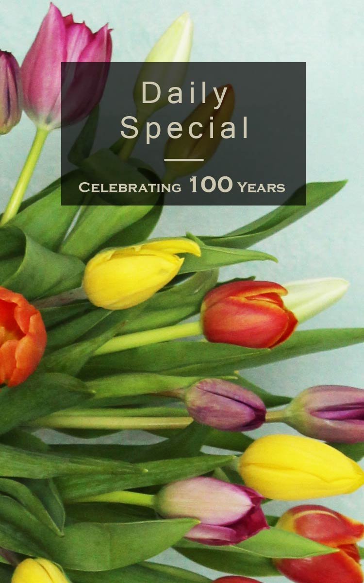 oberer's flowers - your dayton ohio florist since 1922