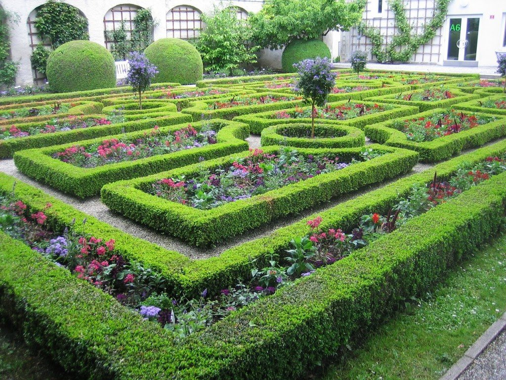 19 new garden flower malang
