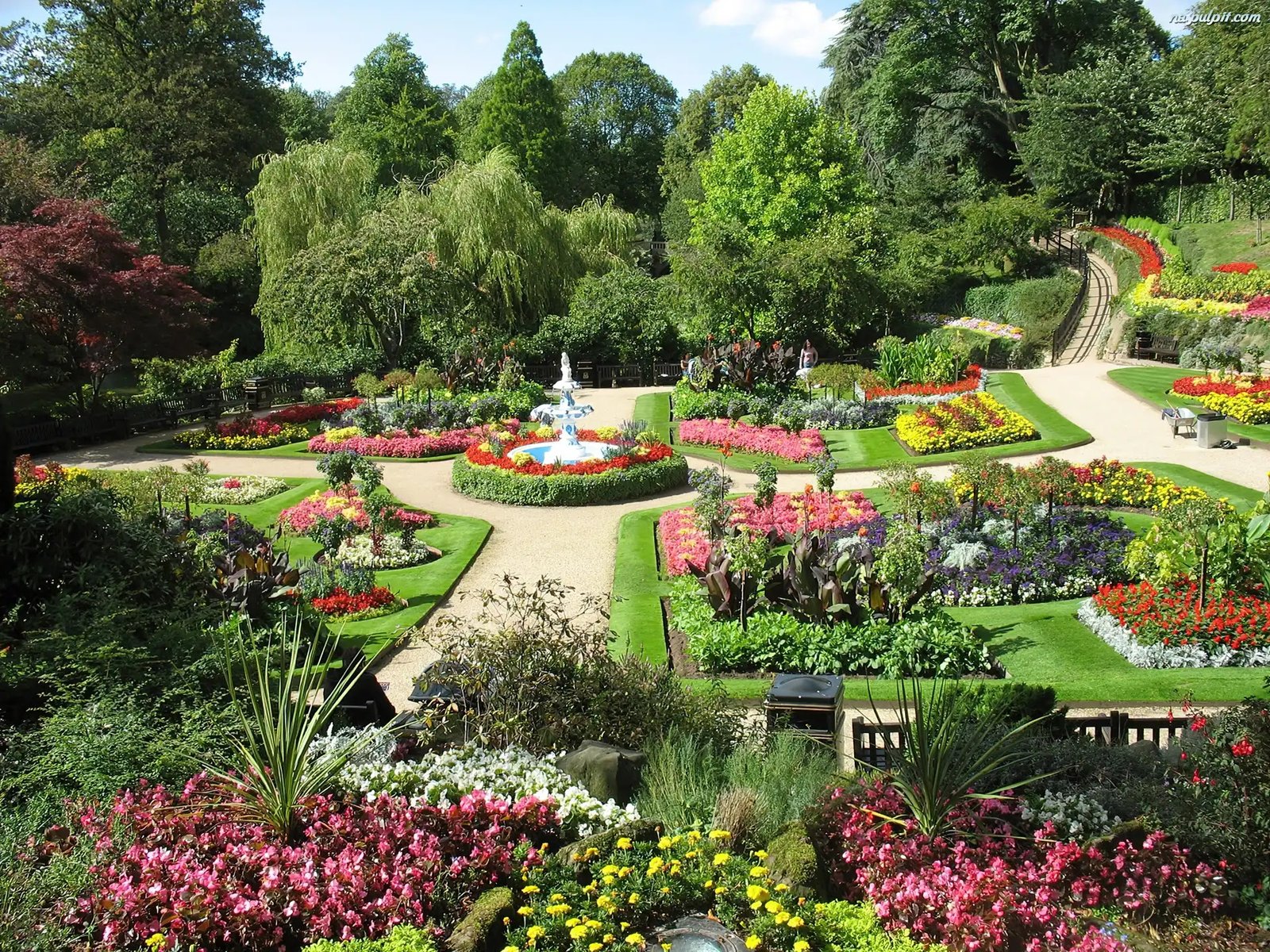 20 awesome garden flower manga