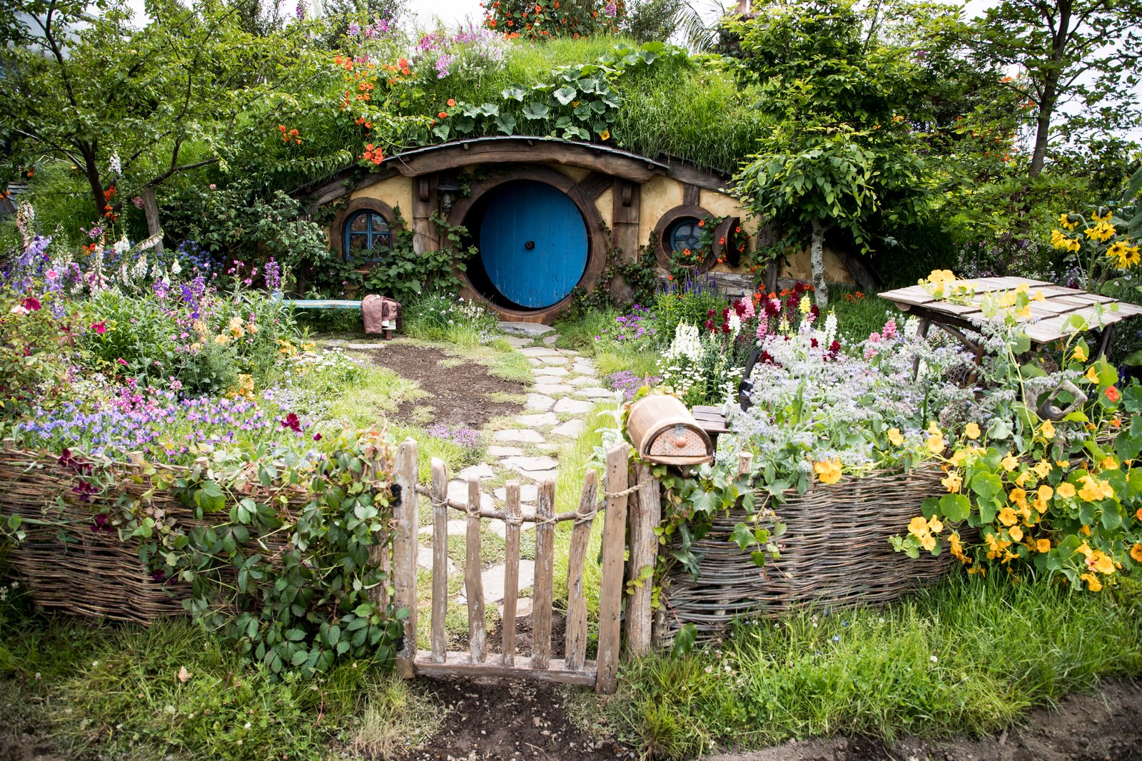 flower show finally returns in auckland - nz herald