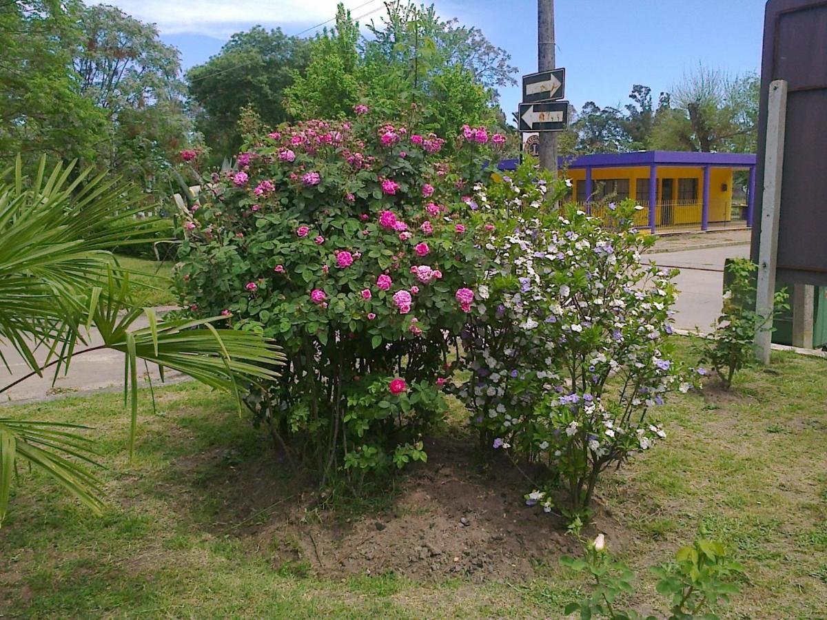 hotel oriental (uruguay santa lucía) - booking