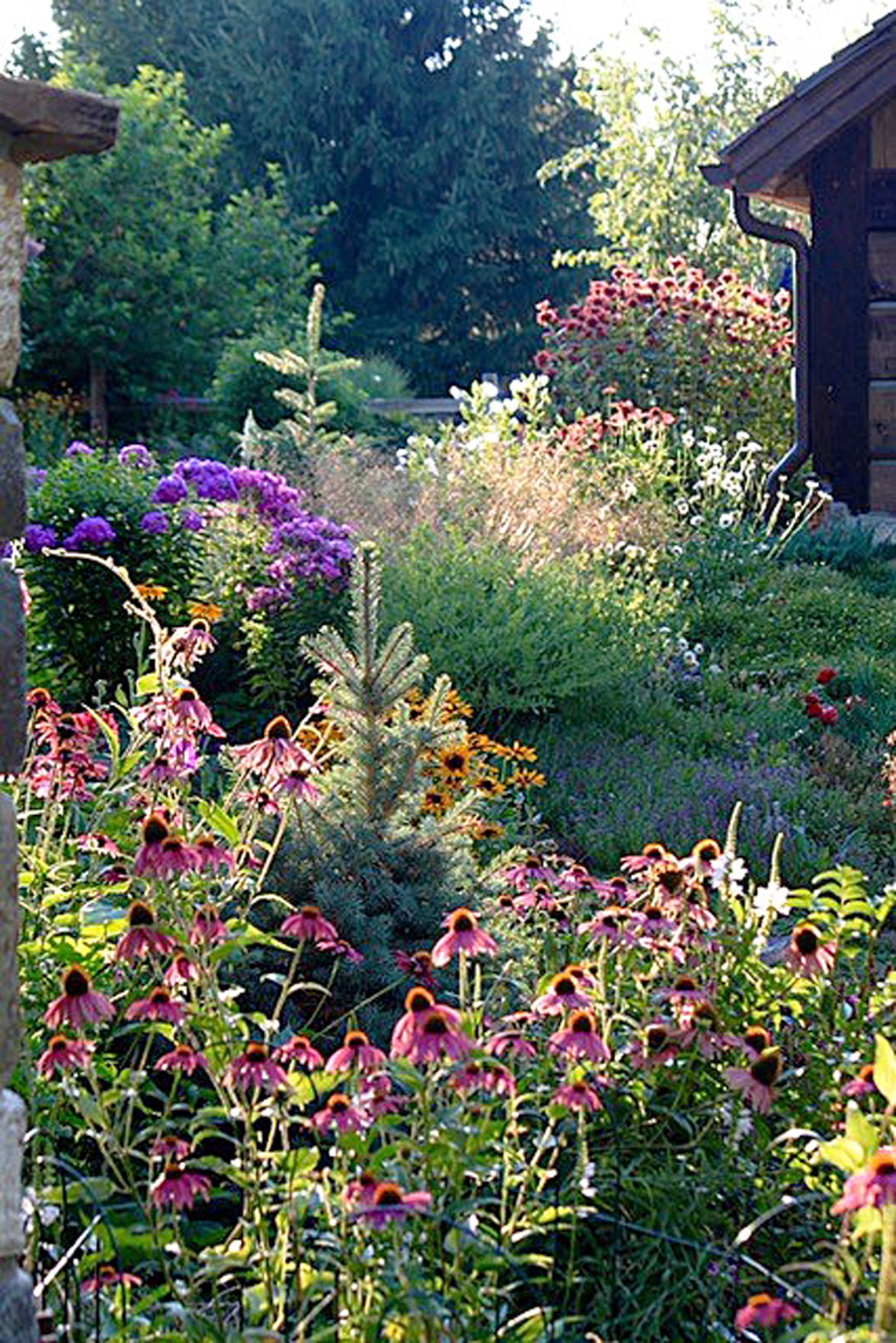 local garden is finalist for award | local news