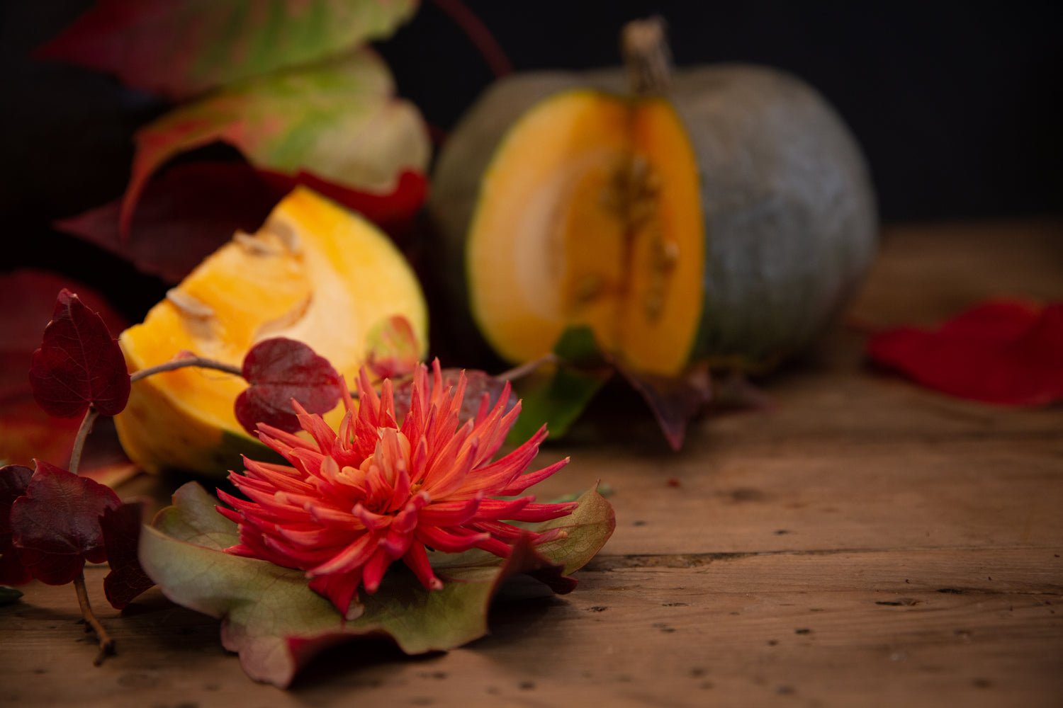 testimonials – the willow garden