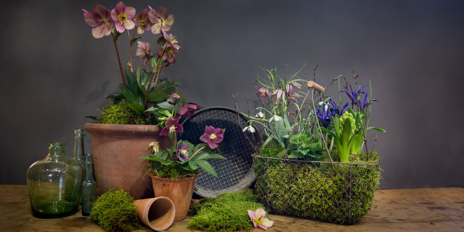 the willow garden | natural, contemporary florist in hebden bridge