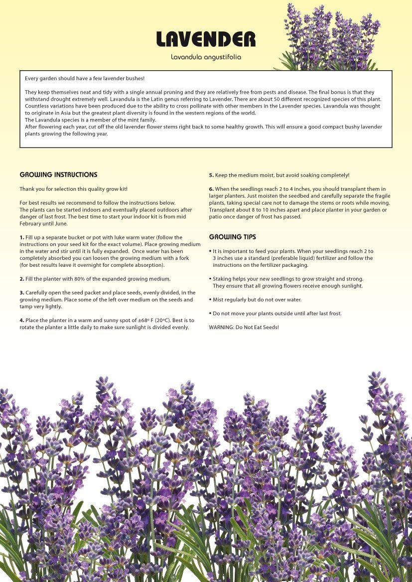 seed kits flowers - instructions - totalgreen holland