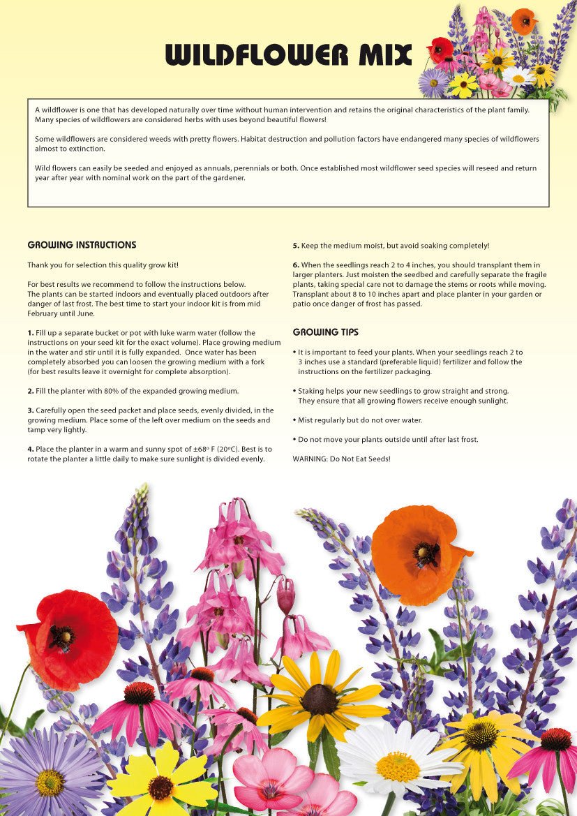 seed kits flowers - instructions - totalgreen holland