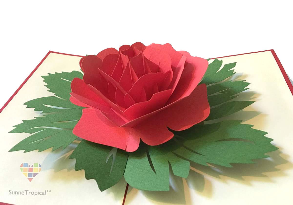 pop up card garden rose flower 4.75 x 7 inch (fl014-1218)