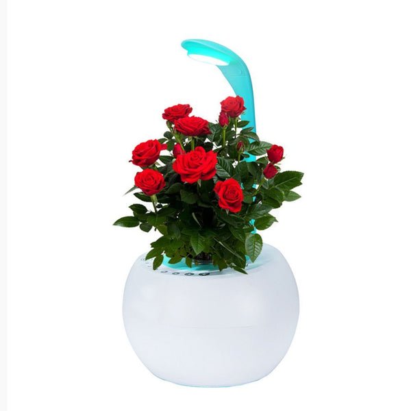 GreenEarth Hydroponic Indoor Garden System with LED Lights ...