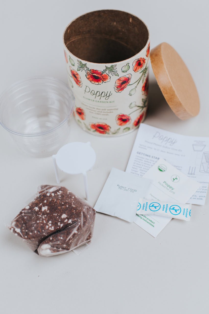 poppy flower garden kit