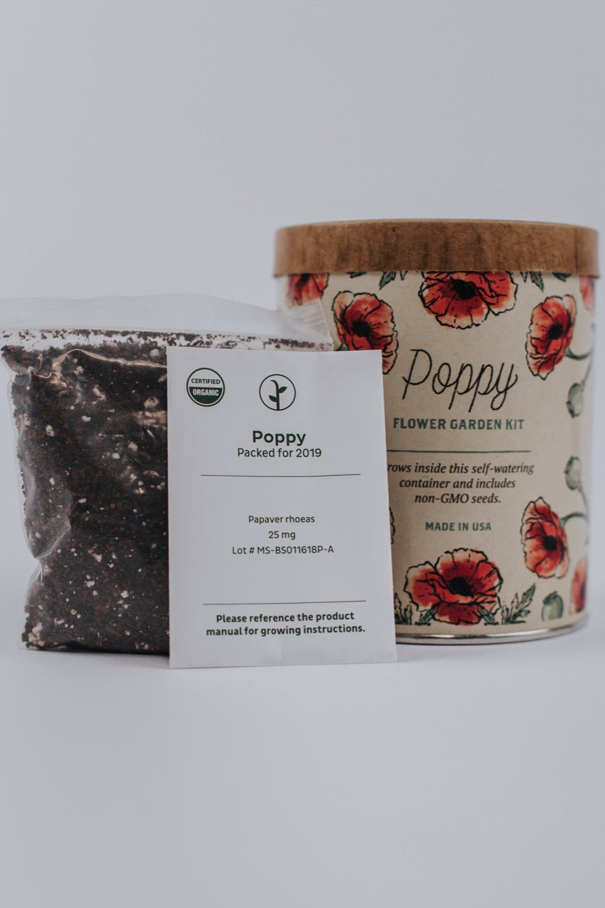 poppy flower garden kit