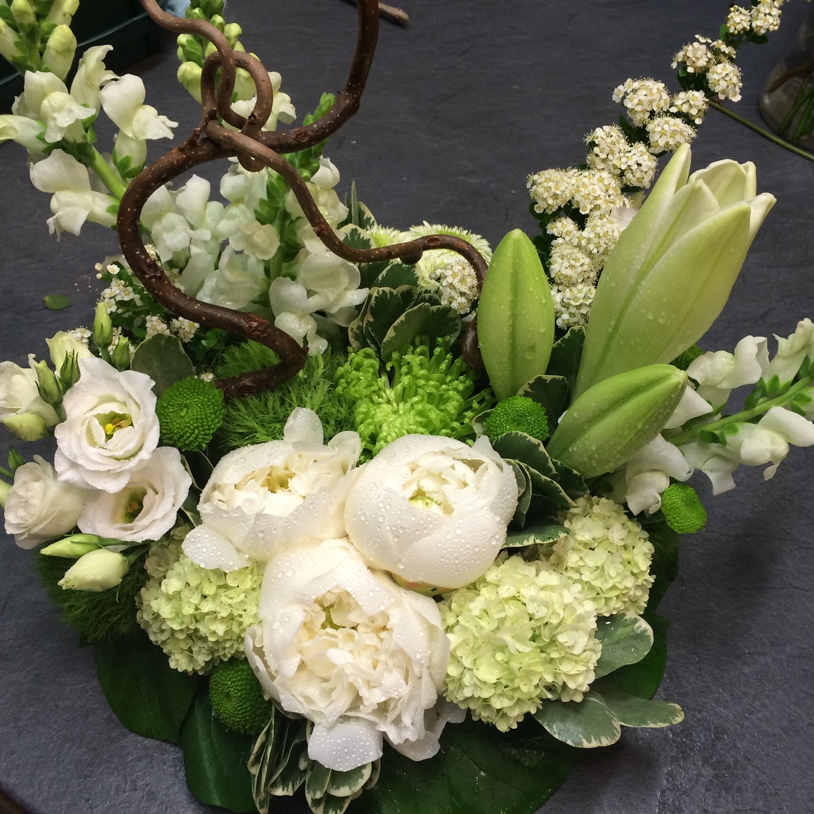 posy