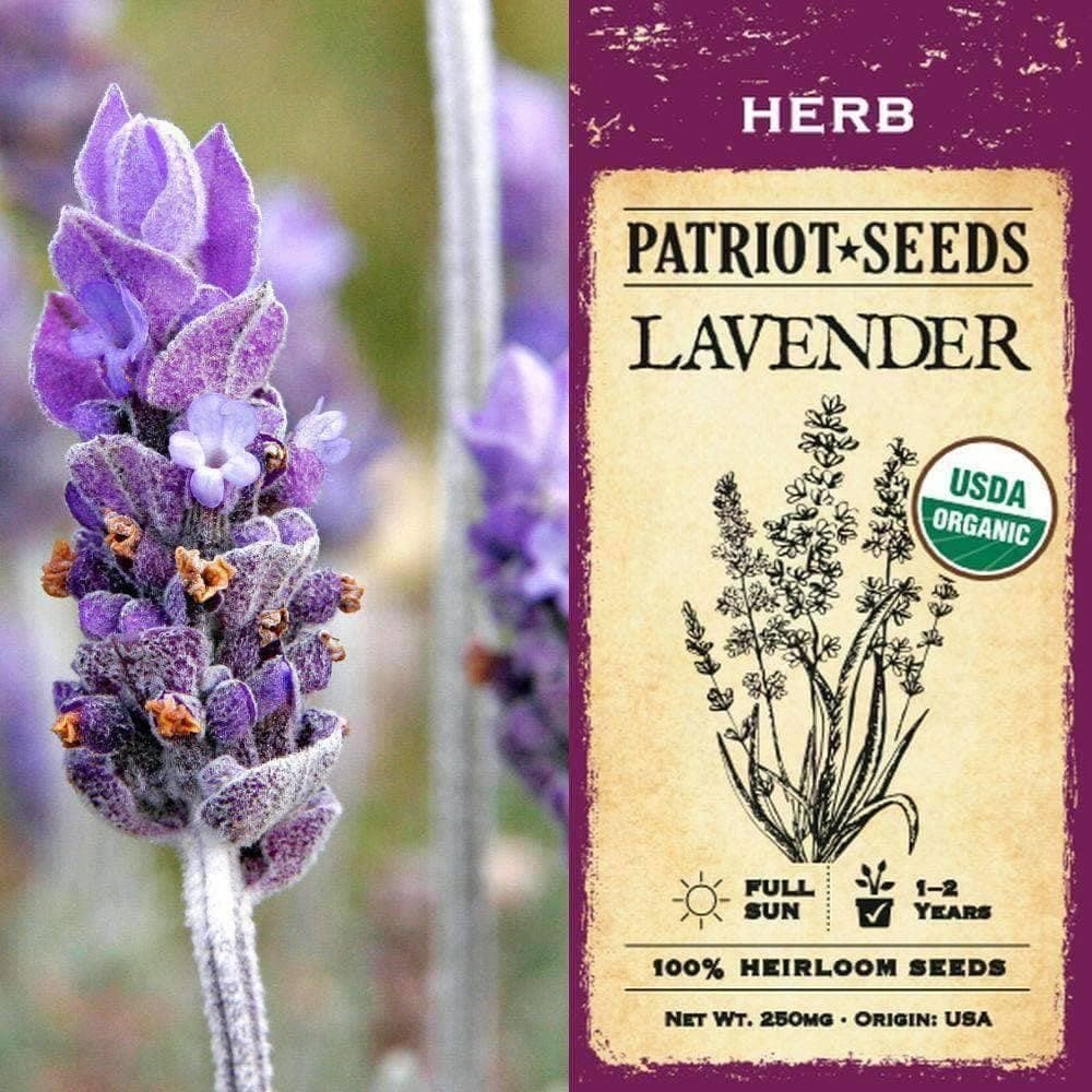 organic lavender herb seeds (250mg)
