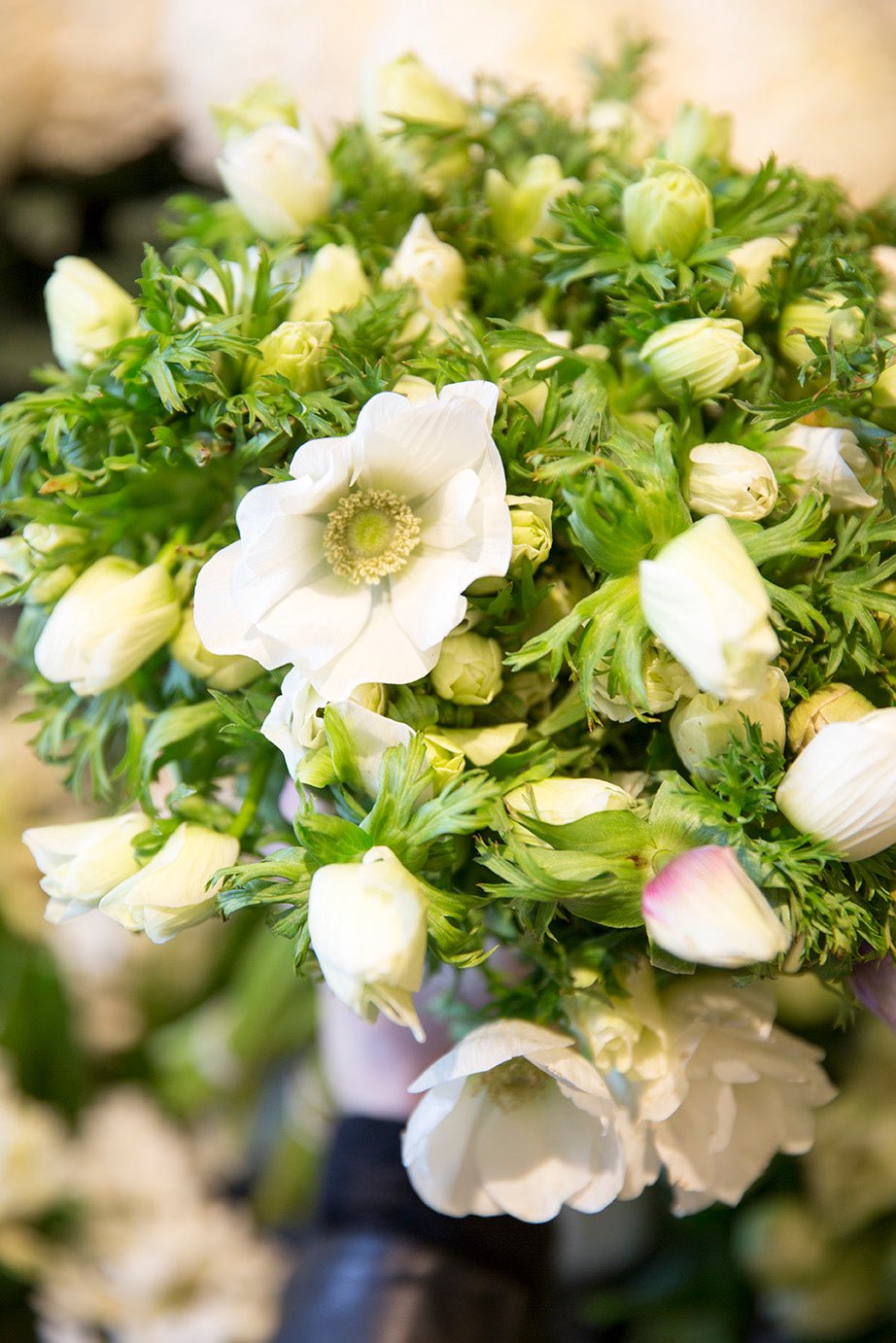 flowers to look out for this winter