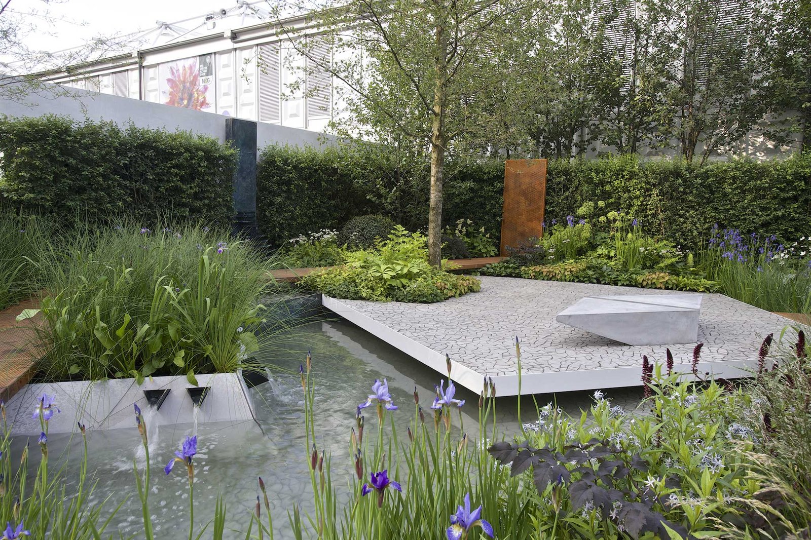 anna pavord: this year's chelsea flower show surprised me with its