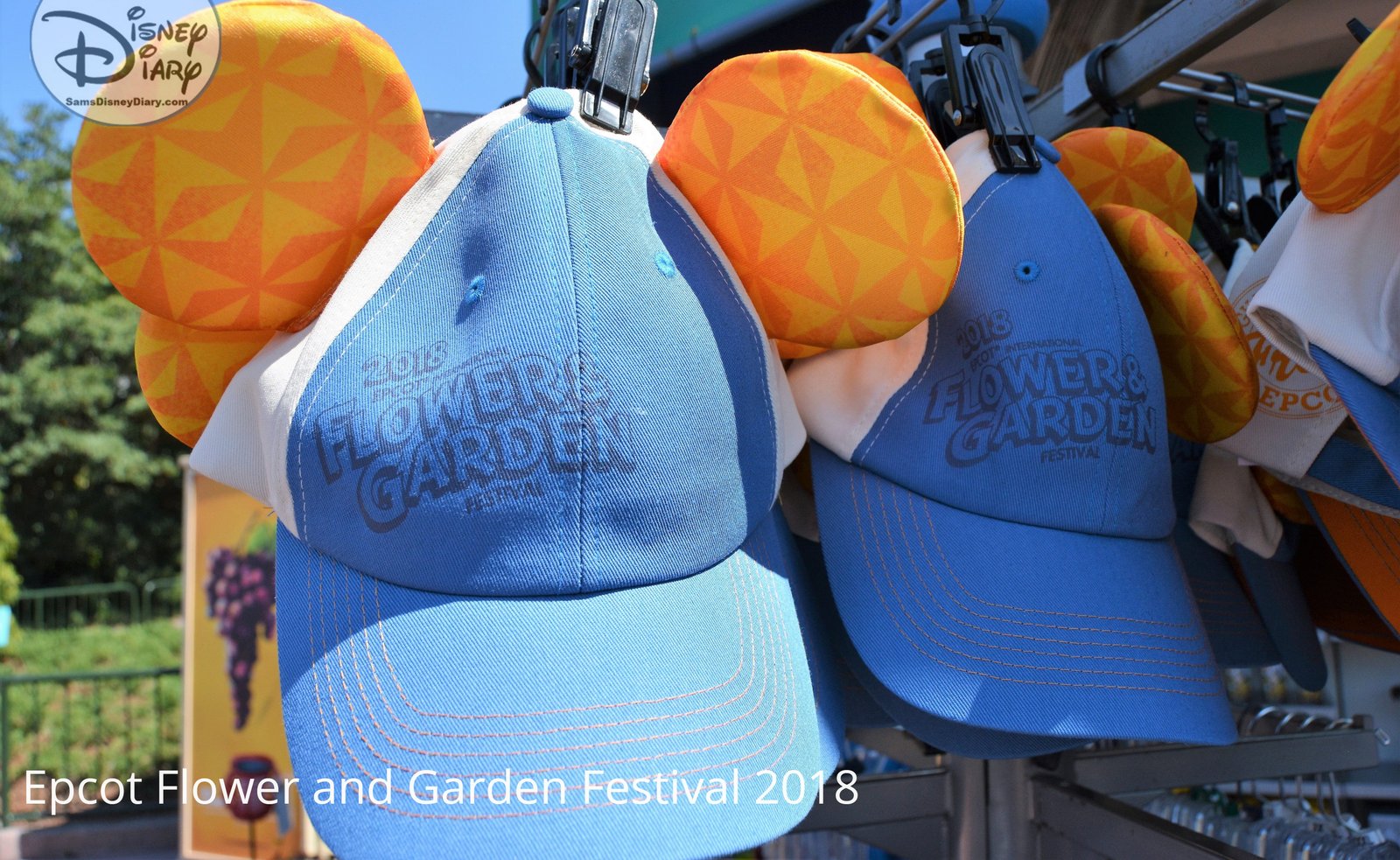 sams disney diary epcot flower and garden 2018 merchandise (9