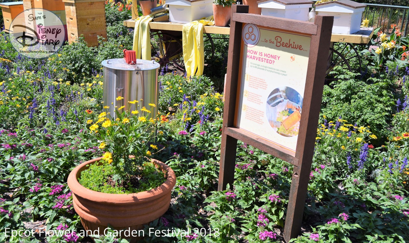sams disney diary epcot flower and garden 2018 outdoor kitchen (4