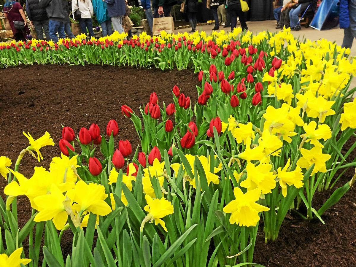 hvcc to host 32nd annual capital district garden & flower show later