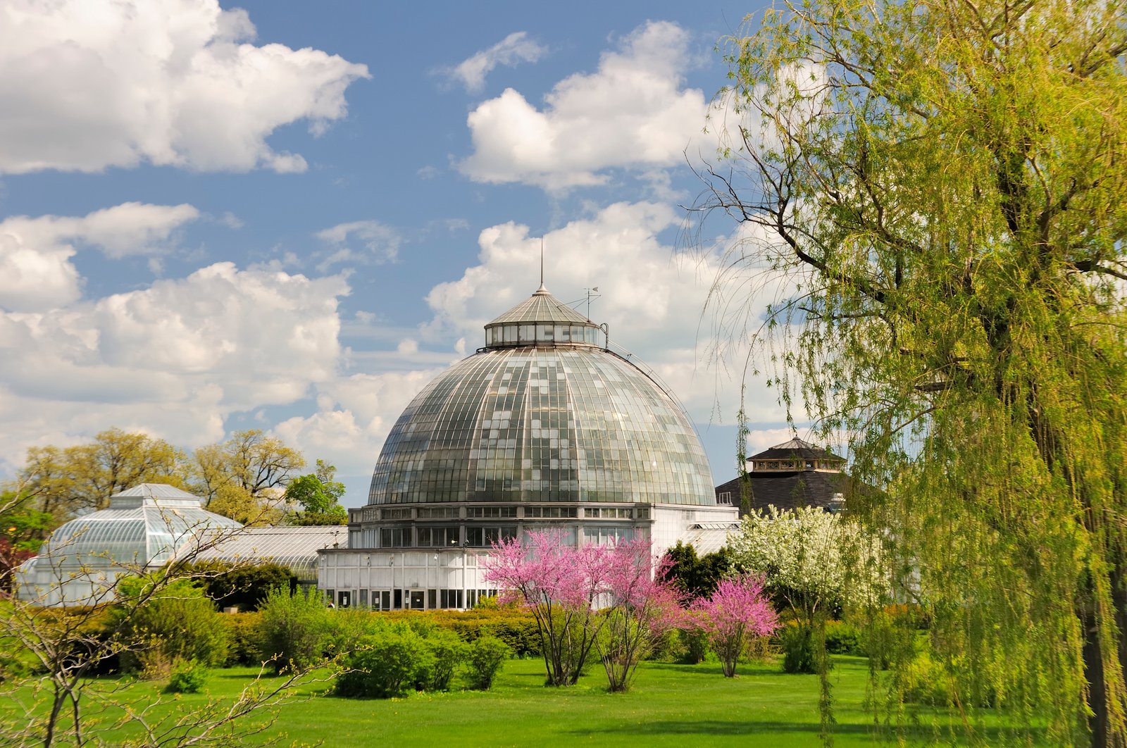 chicago botanical garden - deals in chicago, il | groupon