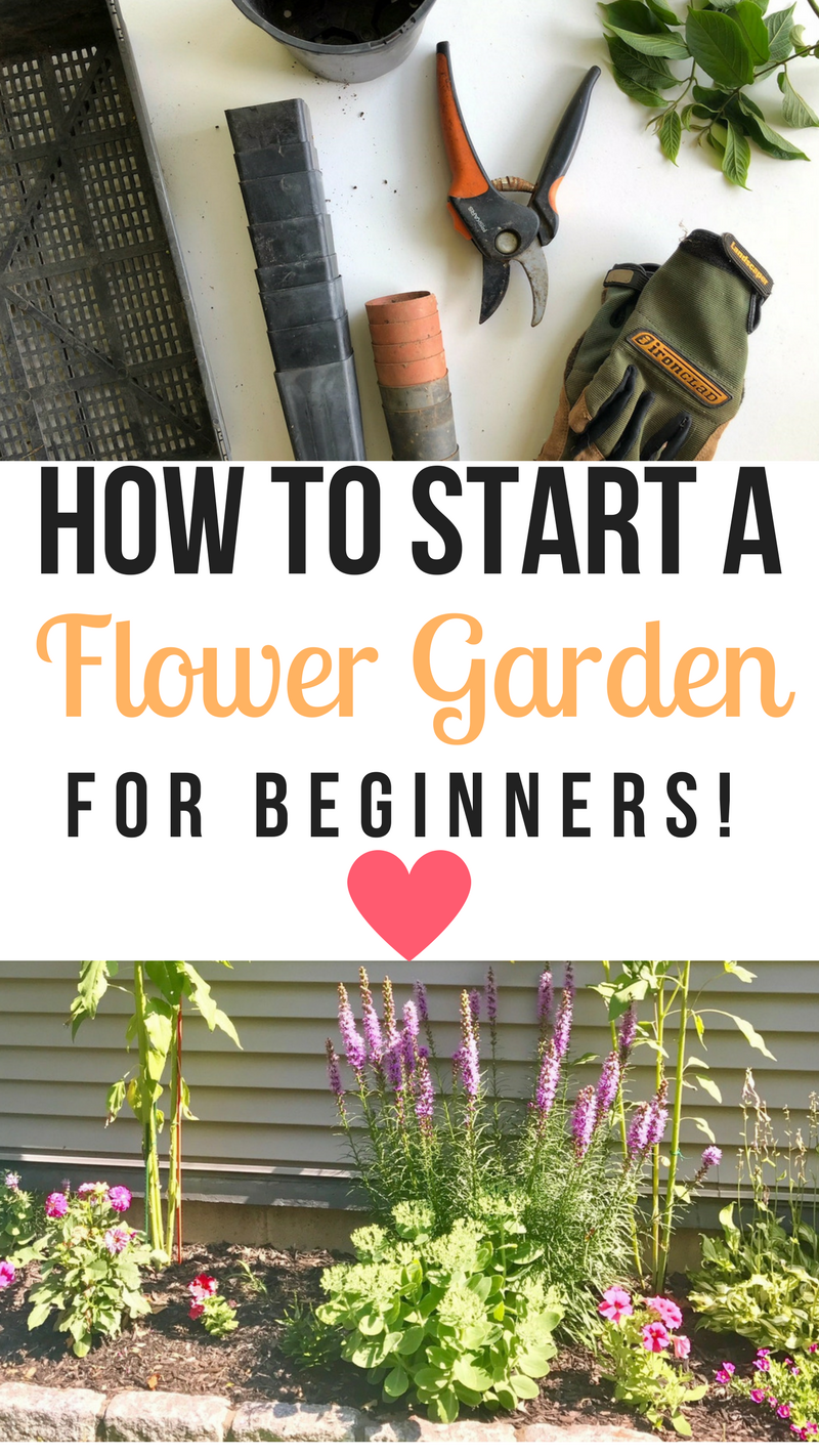 how to start a flower garden for beginners! a step-by-step guide