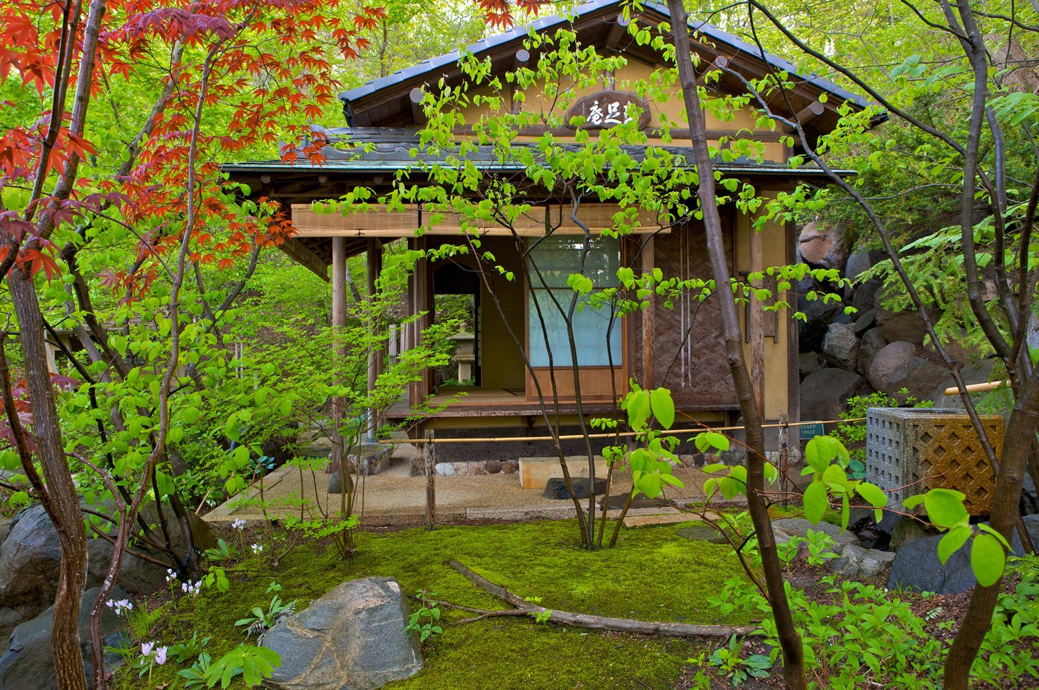 anderson japanese gardens