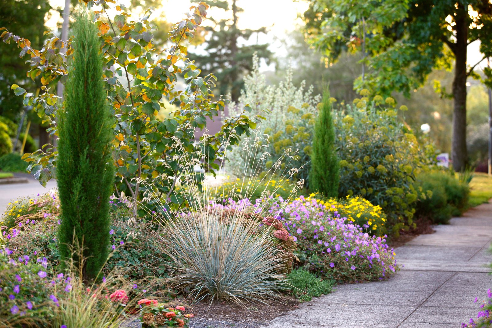 best sidewalk garden ideas - sunset magazine