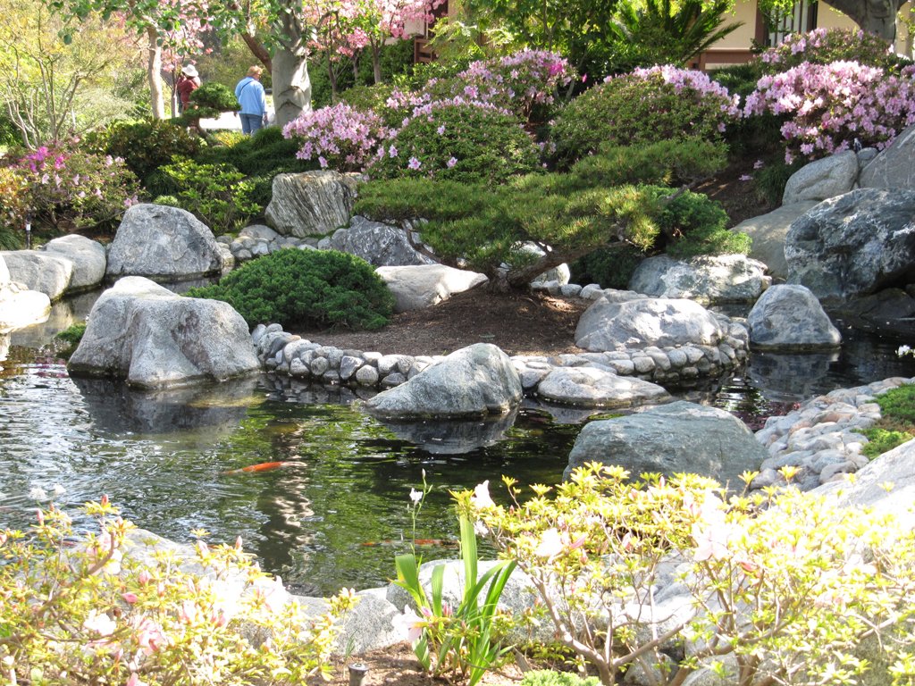 japanese friendship garden docent-led tours | balboa park