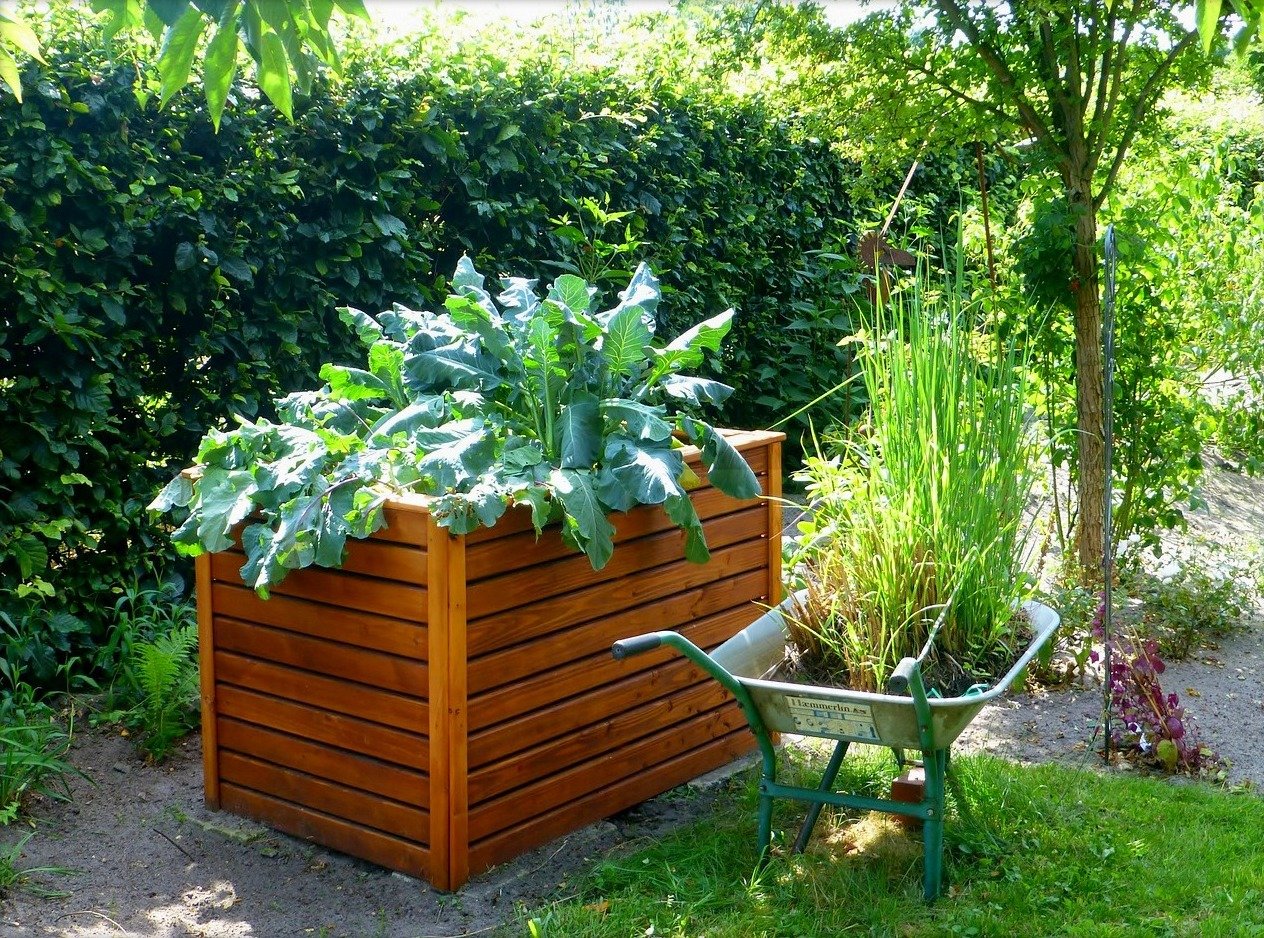 raised bed gardens and small plot gardening tips | the old farmer's