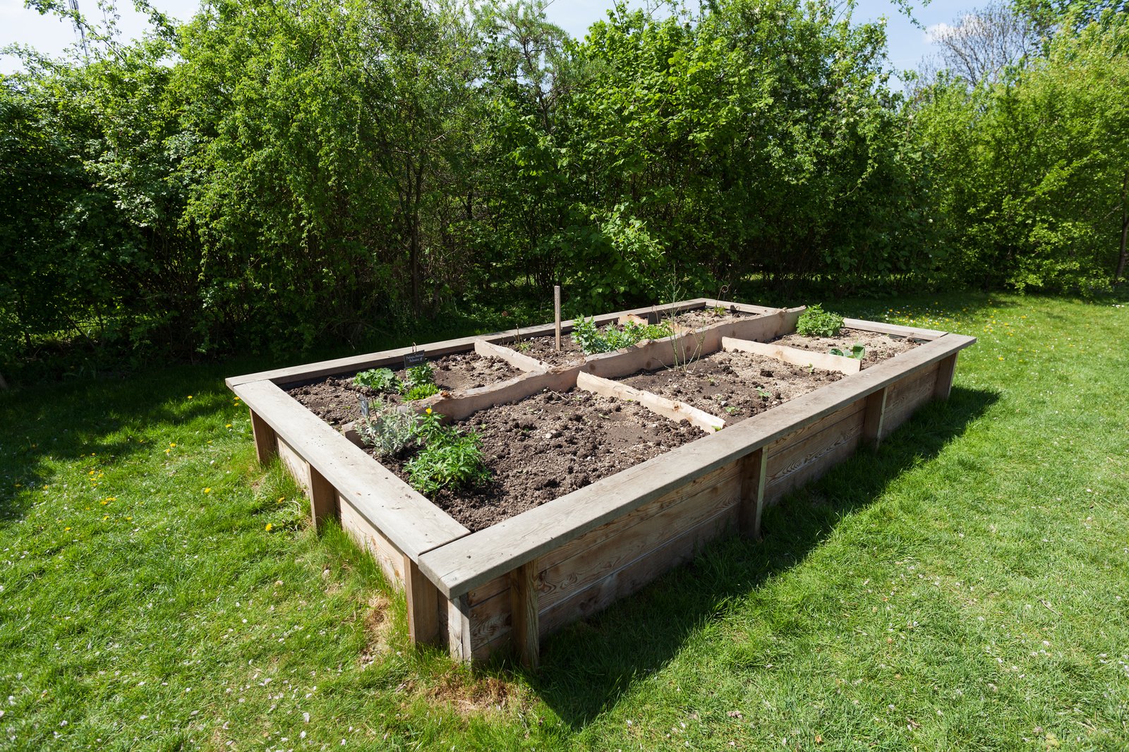 how to build a raised garden bed: planning, building, and planting