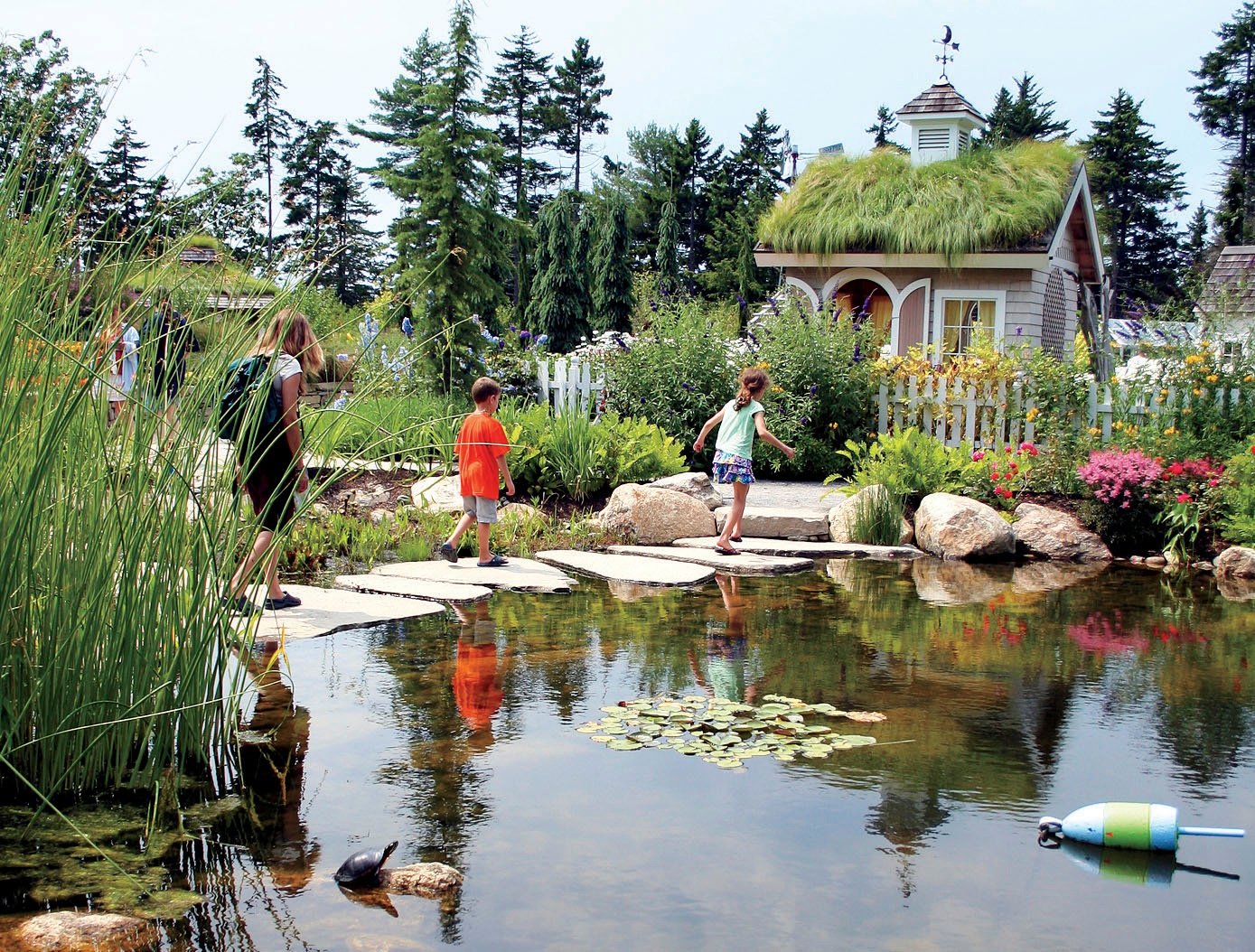new england's glorious public gardens | harvard magazine