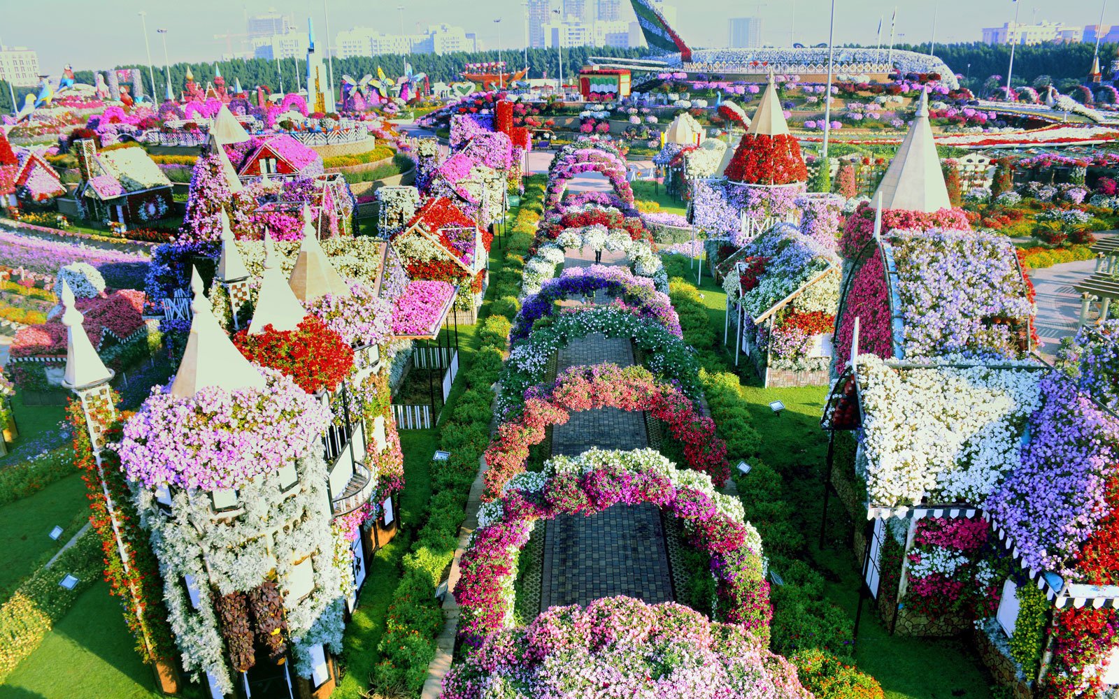 the world's biggest flower garden sits in the middle of a desert