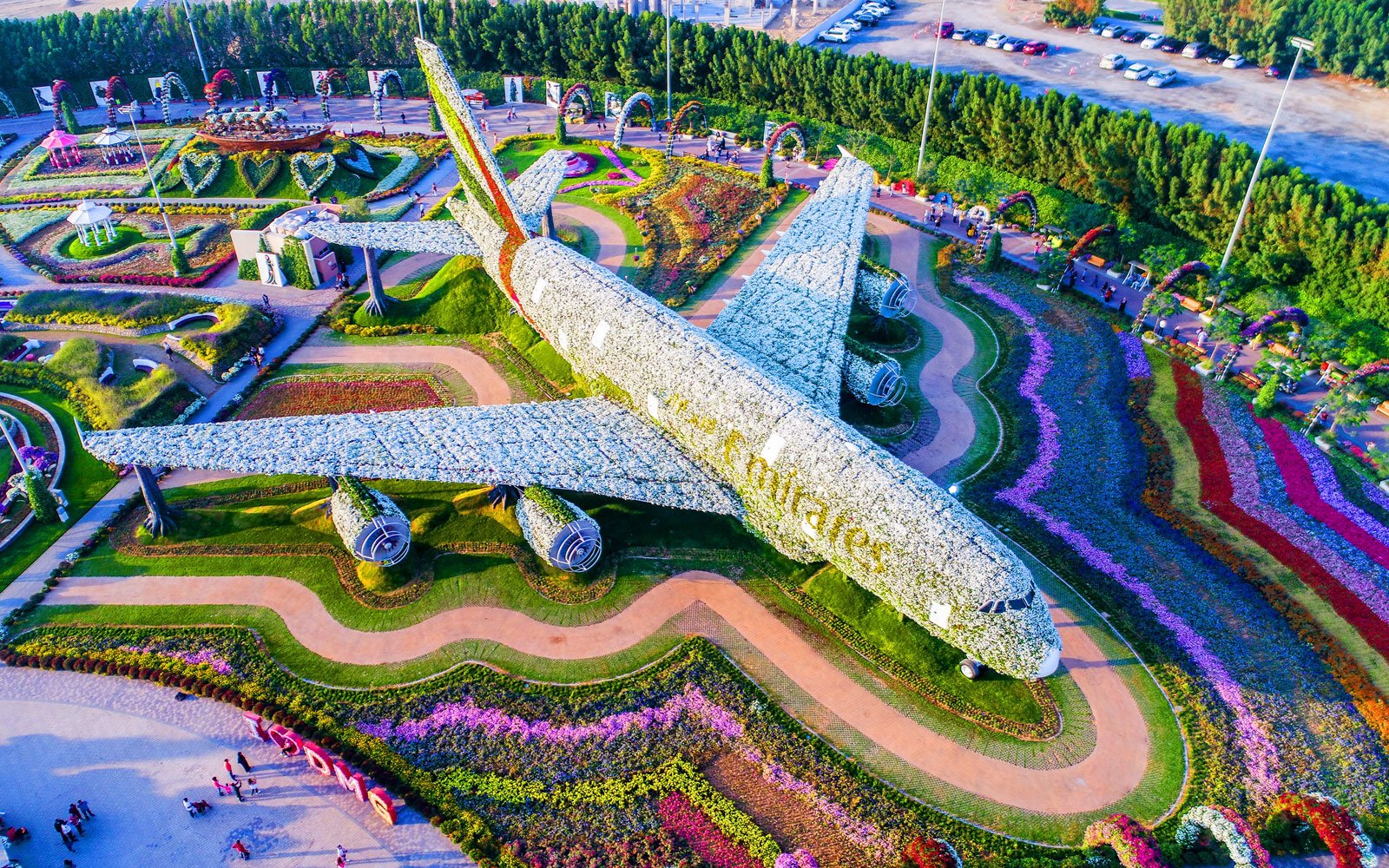 the world's biggest flower garden sits in the middle of a desert