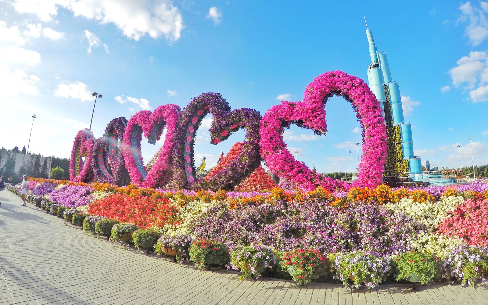 the world's biggest flower garden sits in the middle of a desert