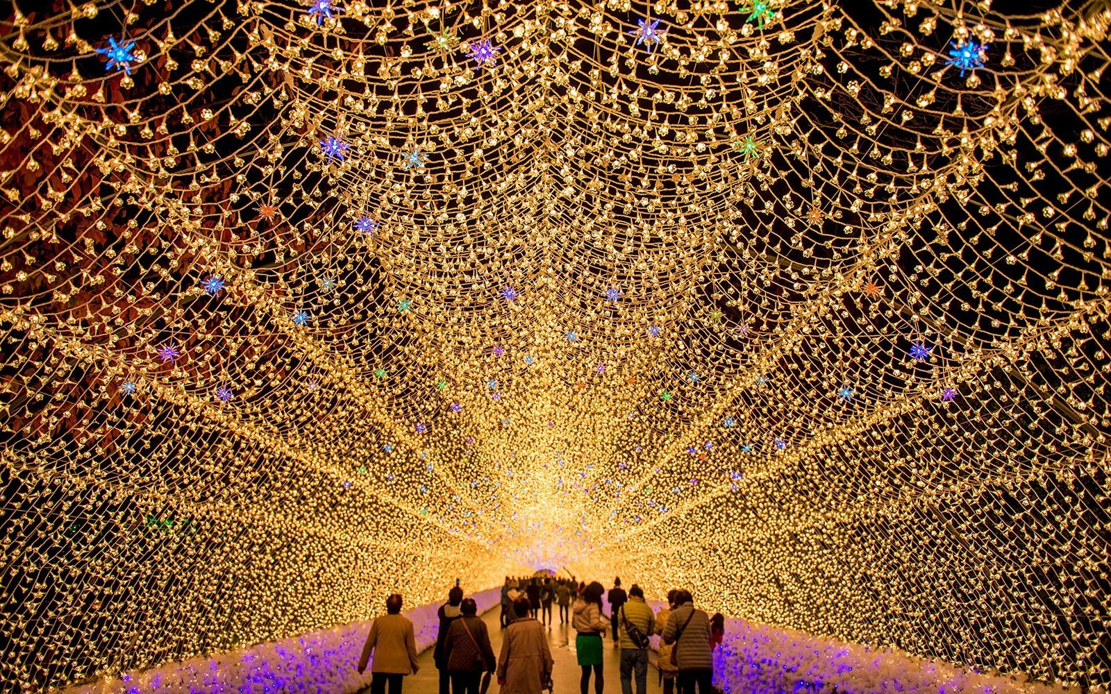 this dazzling light show in a japanese flower garden is one for the