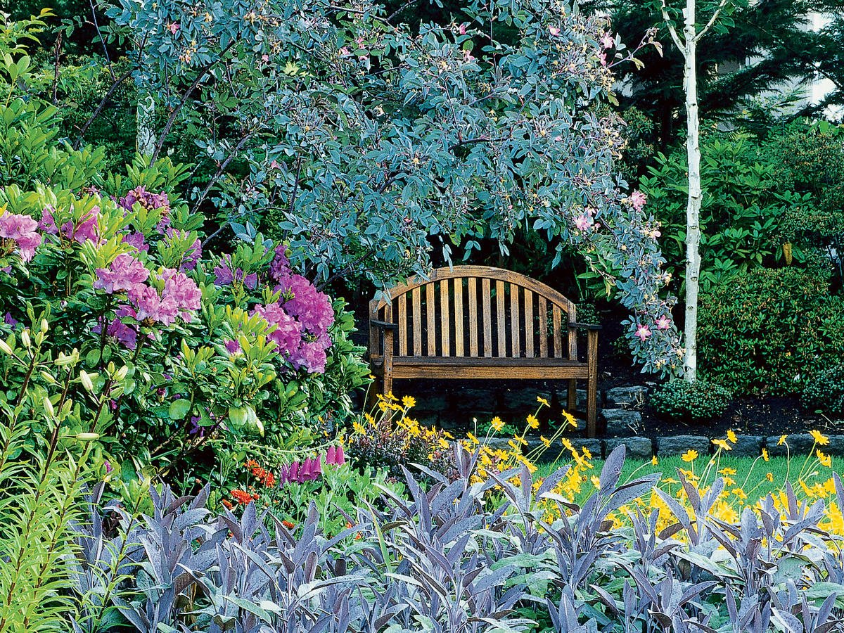 how to grow a cottage garden - sunset magazine