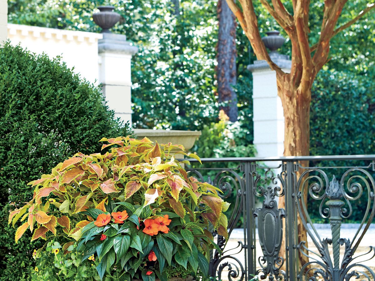 125 container gardening ideas