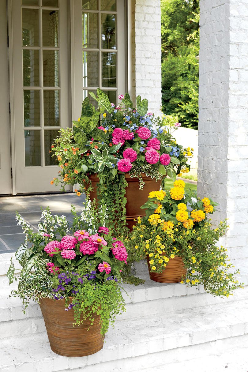 125 container gardening ideas