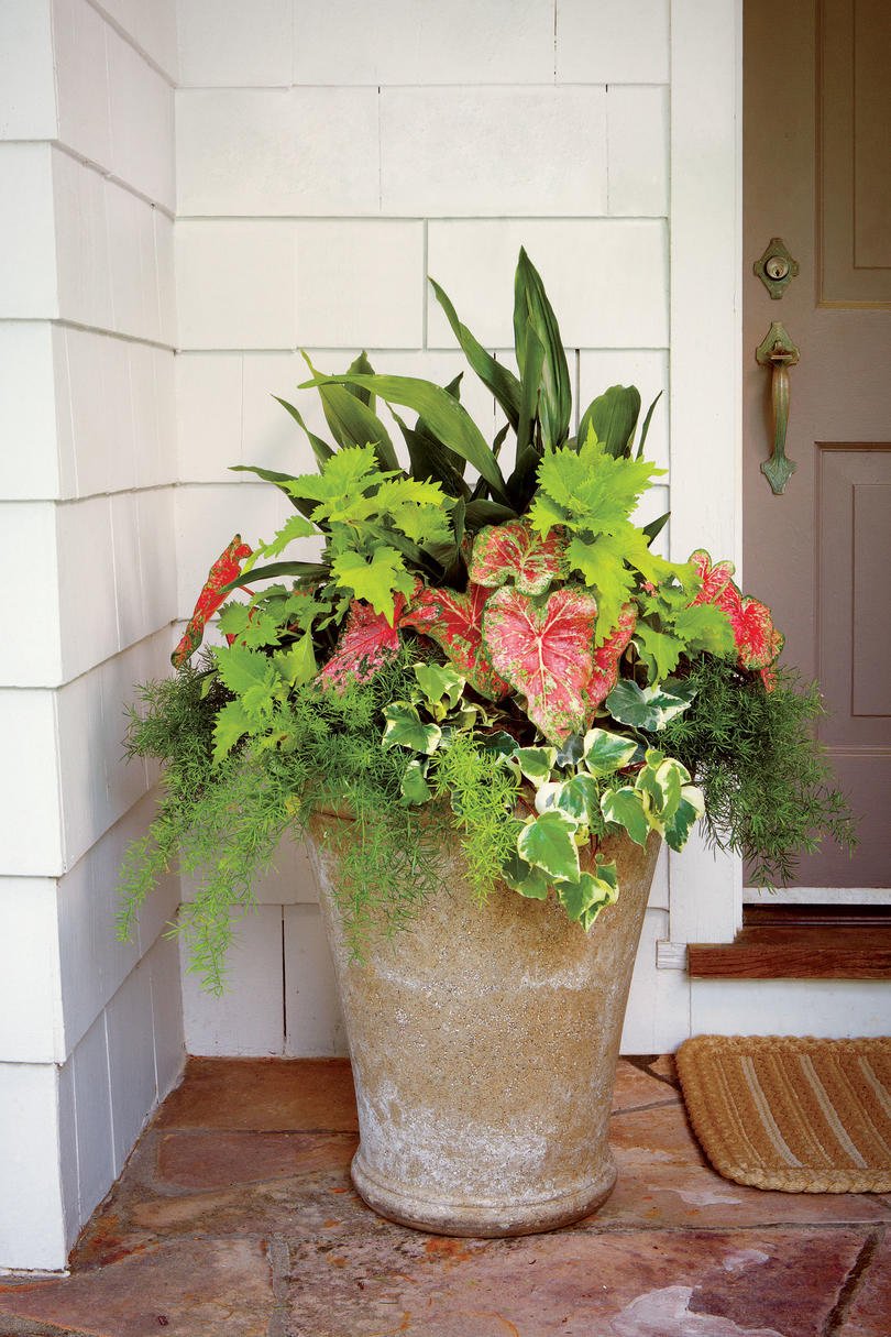shady ladies: containers for covered porches