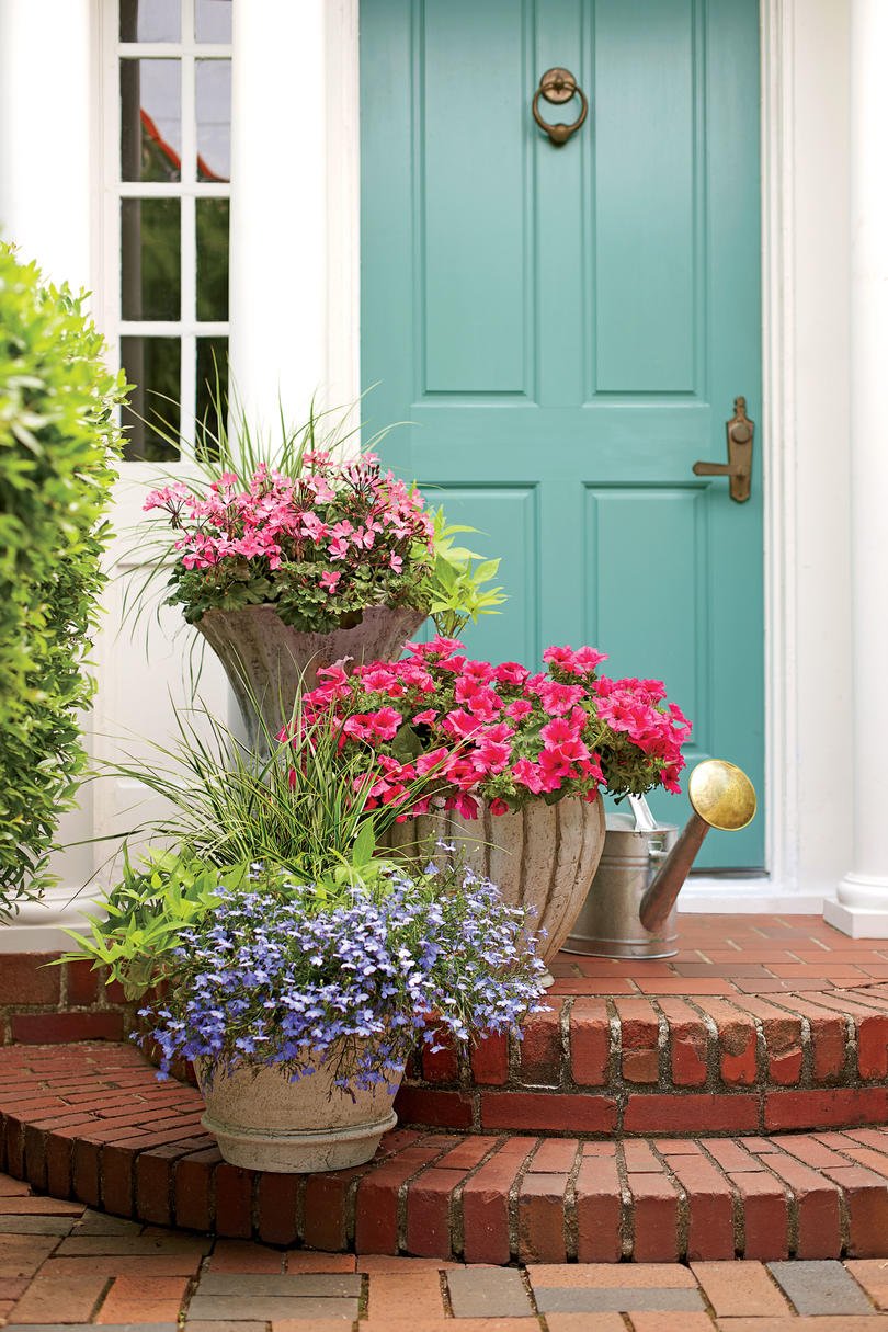 125 container gardening ideas