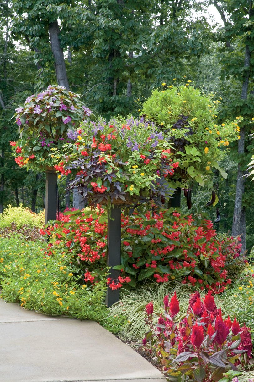 125 container gardening ideas