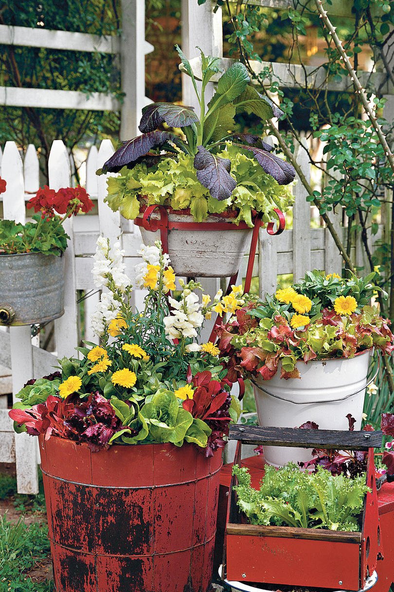 125 container gardening ideas