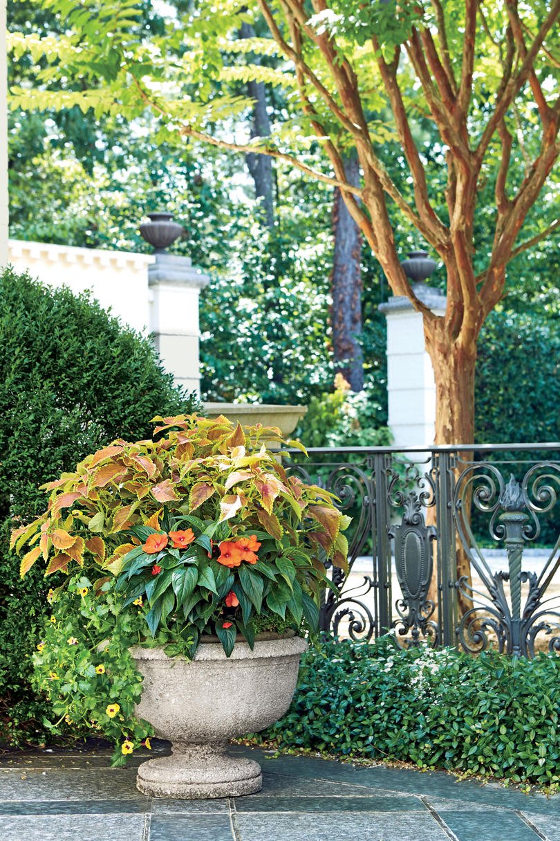125 container gardening ideas