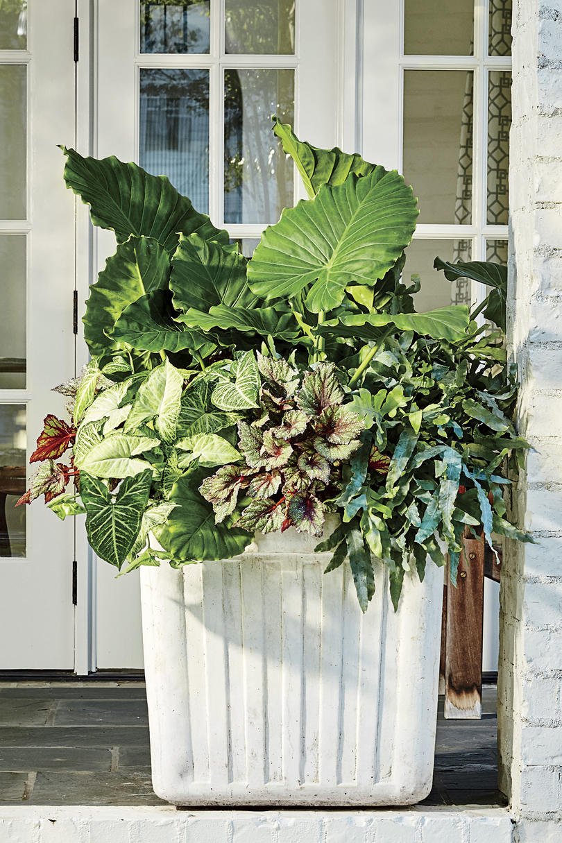 shady ladies: containers for covered porches