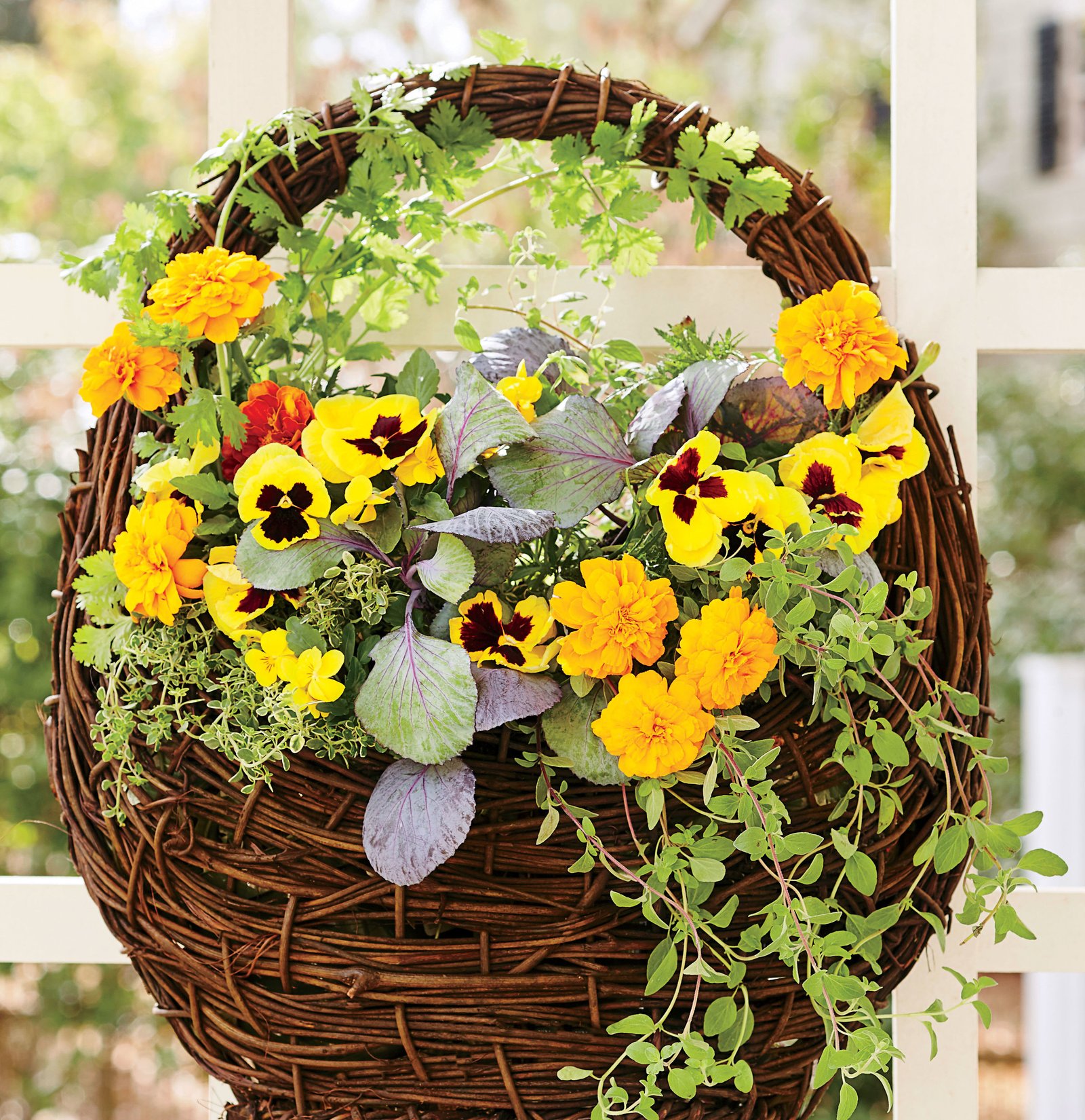 4 container garden ideas that are fail-proof | real simple